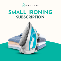 Subscribe to Small Ironing Plan