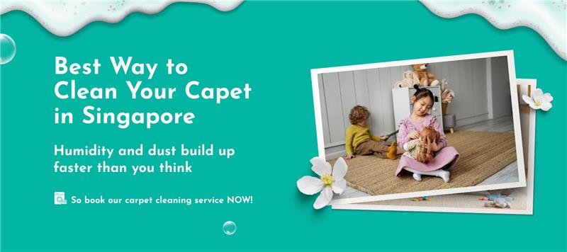 Best Way To Clean Your Carpet in Singapore
