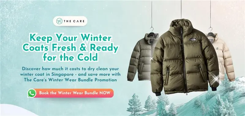 Winter Coat Dry Cleaning Cost