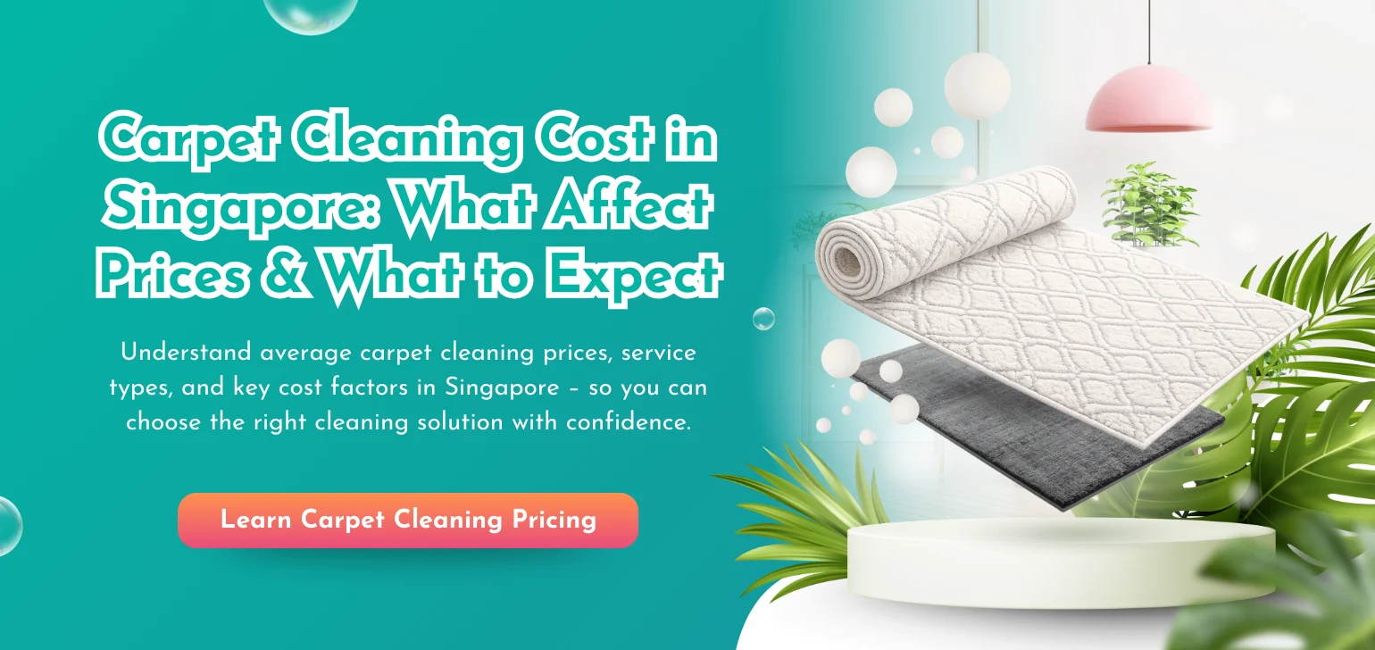 Carpet Cleaning Cost Singapore