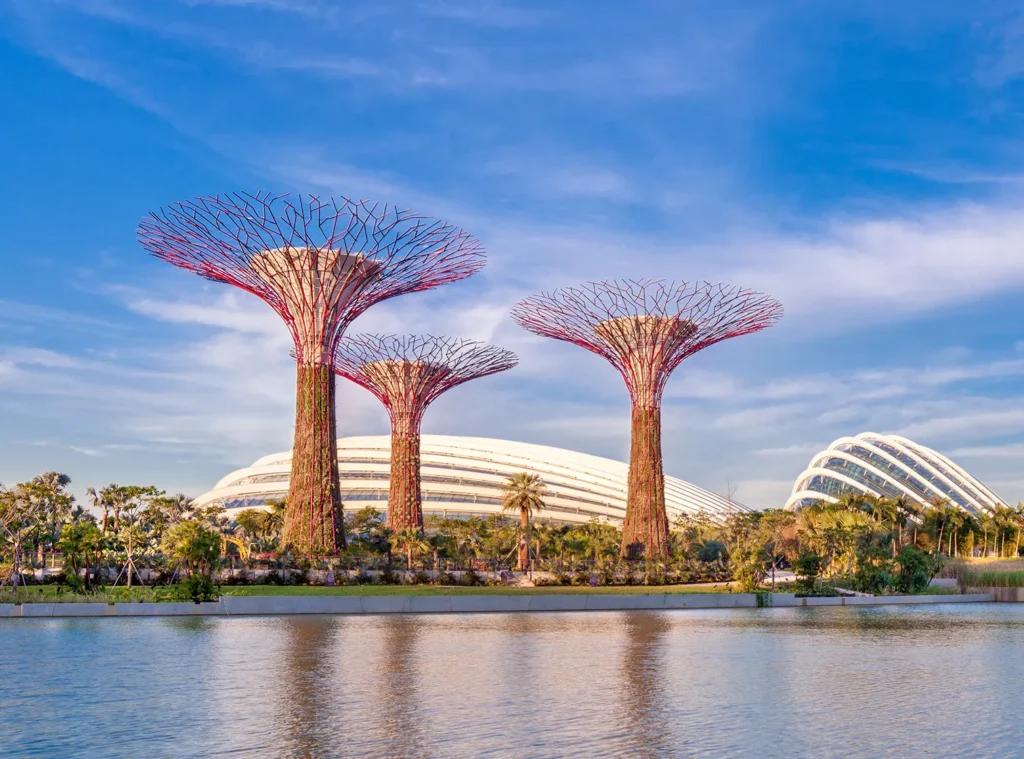 Gardens by the Bay Singapore | The Care