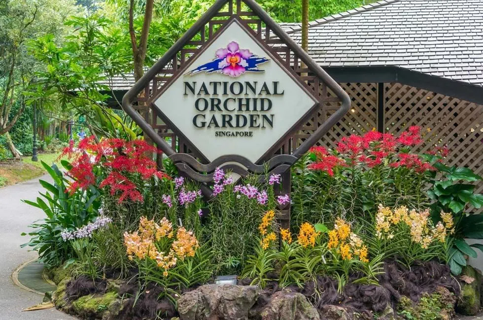 Singapore Botanic Gardens | The Care