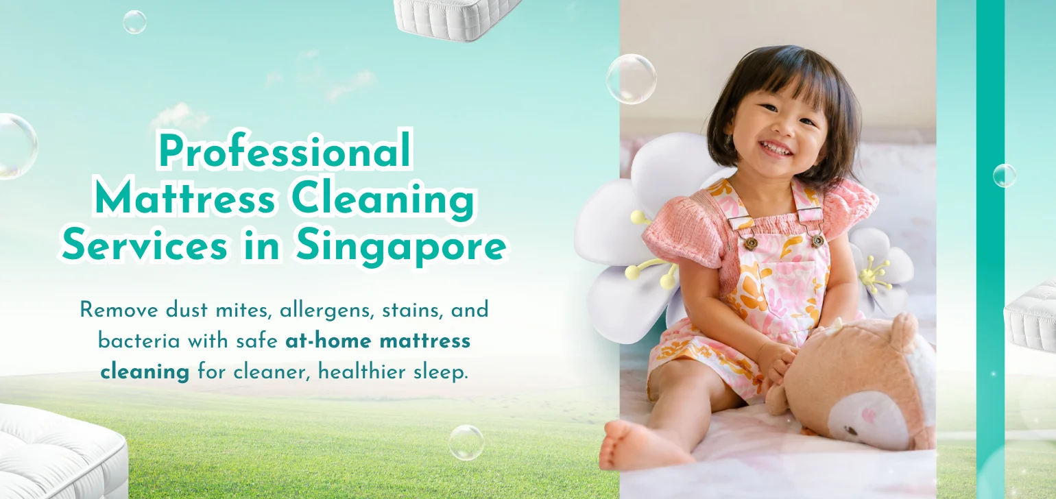 Mattress Cleaning Services