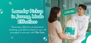 Laundry Pickup Jurong